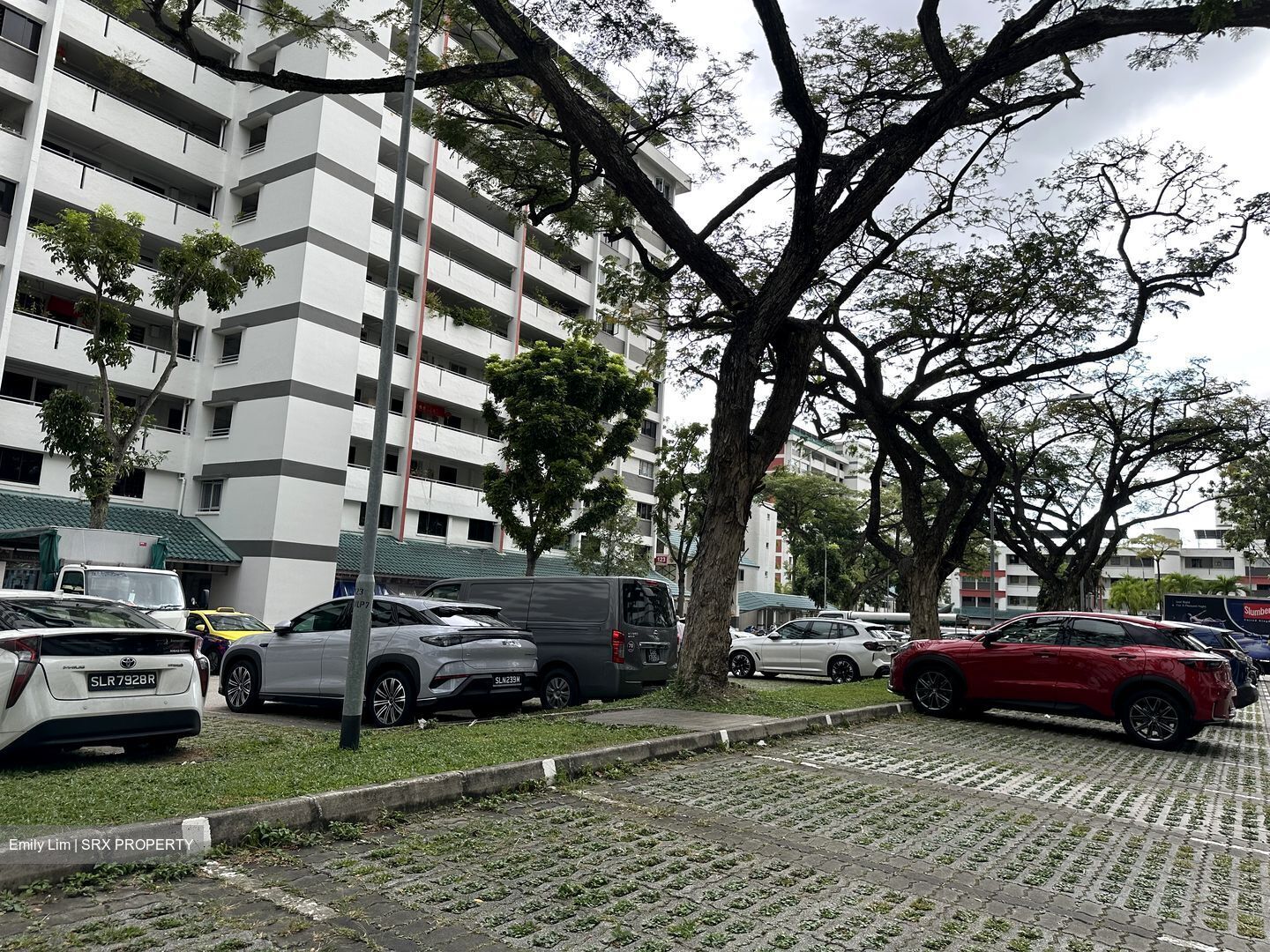Hougang Avenue 1 (D19), Shop House #513637031